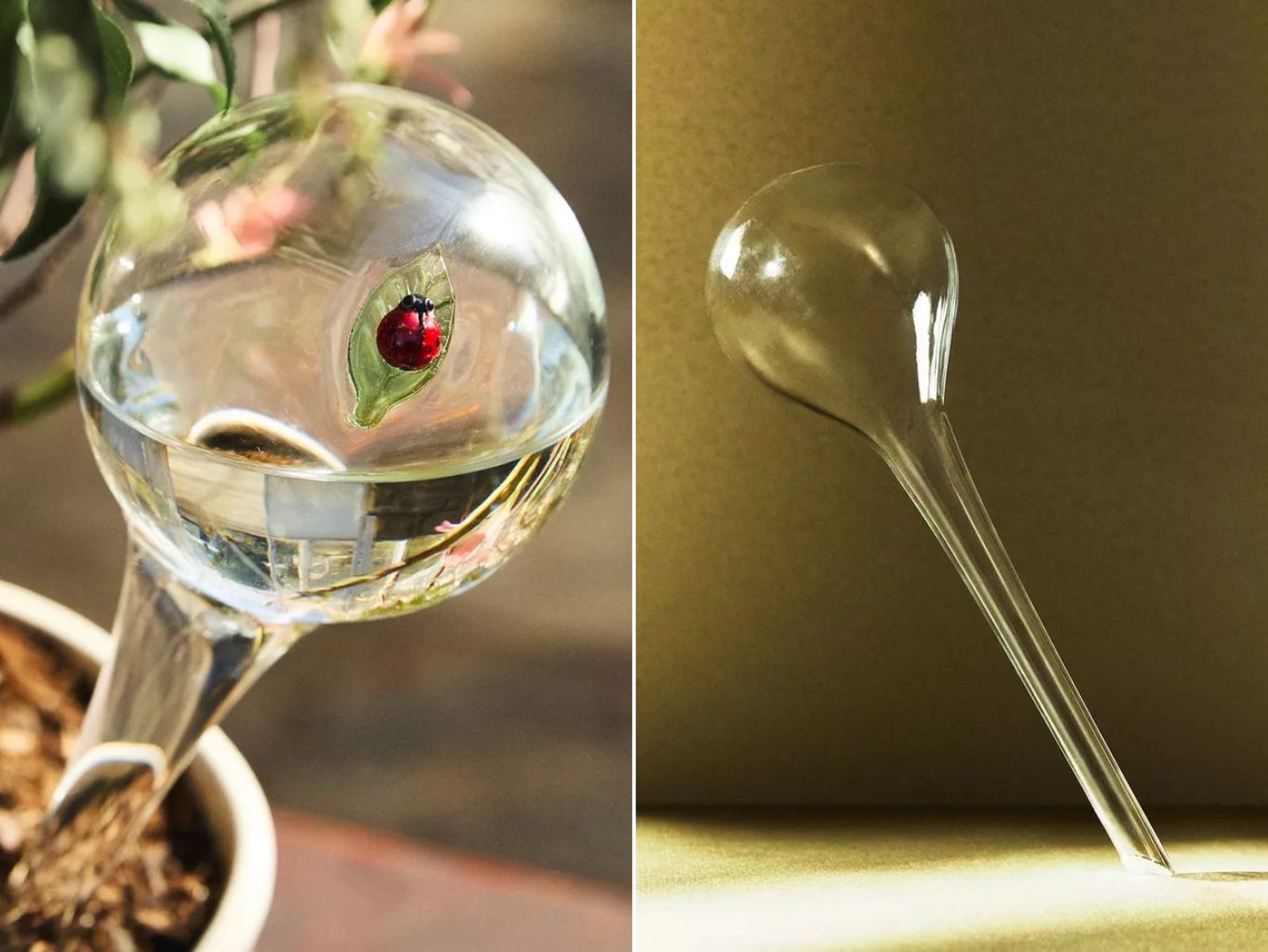 De izq. a drch.: Burbuja de autorriego con mariquita de borosilicato y Burbuja de autorriego de borosilicato. De izq. a drch.: Burbuja de autorriego con mariquita de borosilicato y Burbuja de autorriego de borosilicato.