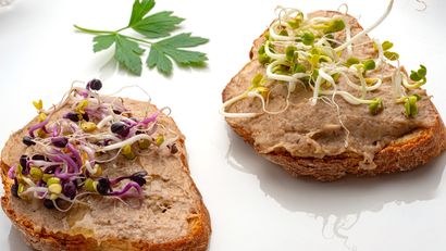 Paté de setas, receta de Karlos Arguiñano