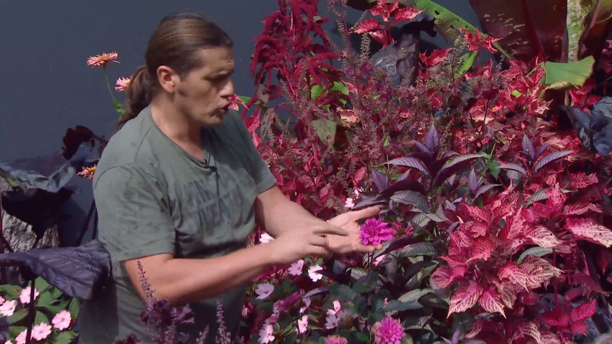 deco 0669 composicion floral rosas negros alegria alocasia dalia