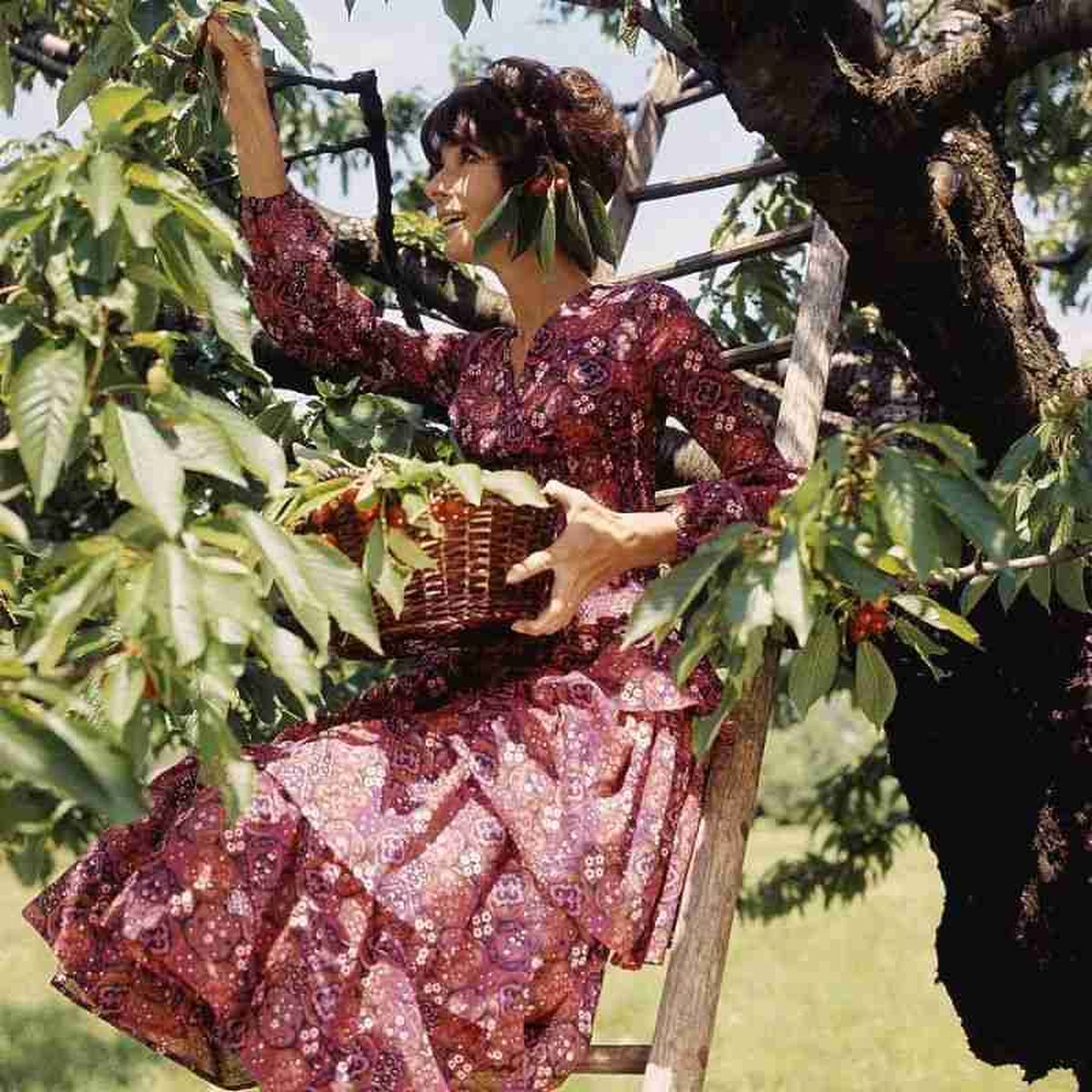 Audrey Hepburn retratada por Henry Clarke para la revista Vogue