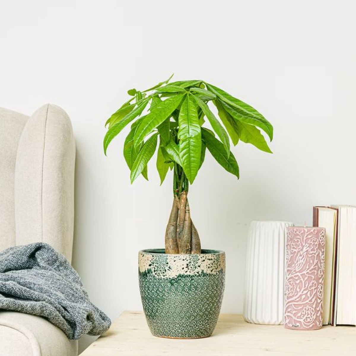 macetero cusco be green