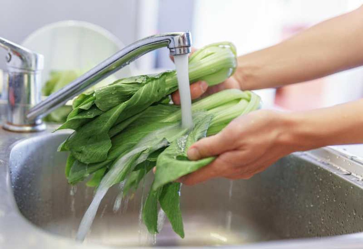 Enjuaga bajo agua fría, frotando suavemente las hojas y los tallos