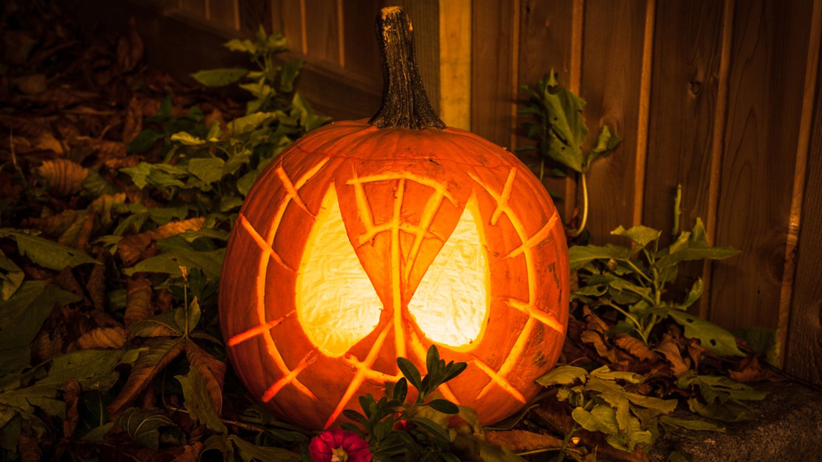 calabaza con velas halloween calabaza con velas halloween