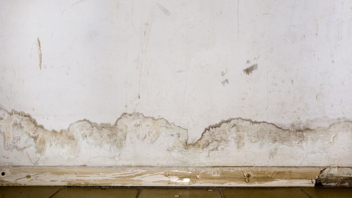 Los pisos desgastados anulan cualquier esfuerzo de decoración