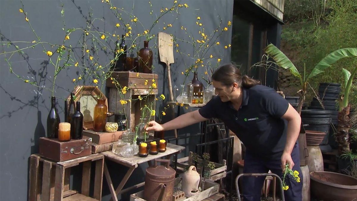 deco 770 jardin kerria japonica col china