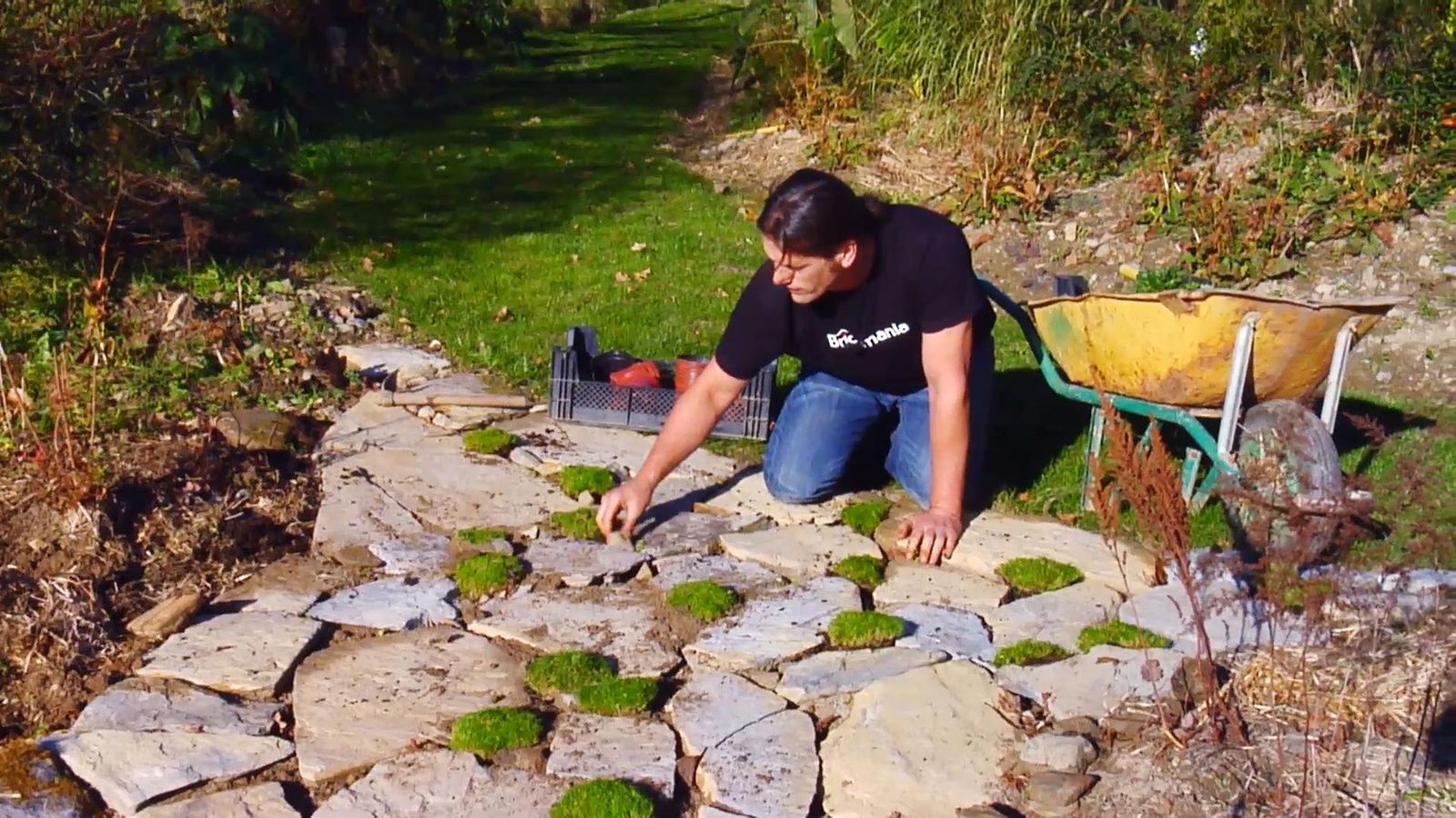 BRICO_JARDIN_859_Plantas para los caminos jardin