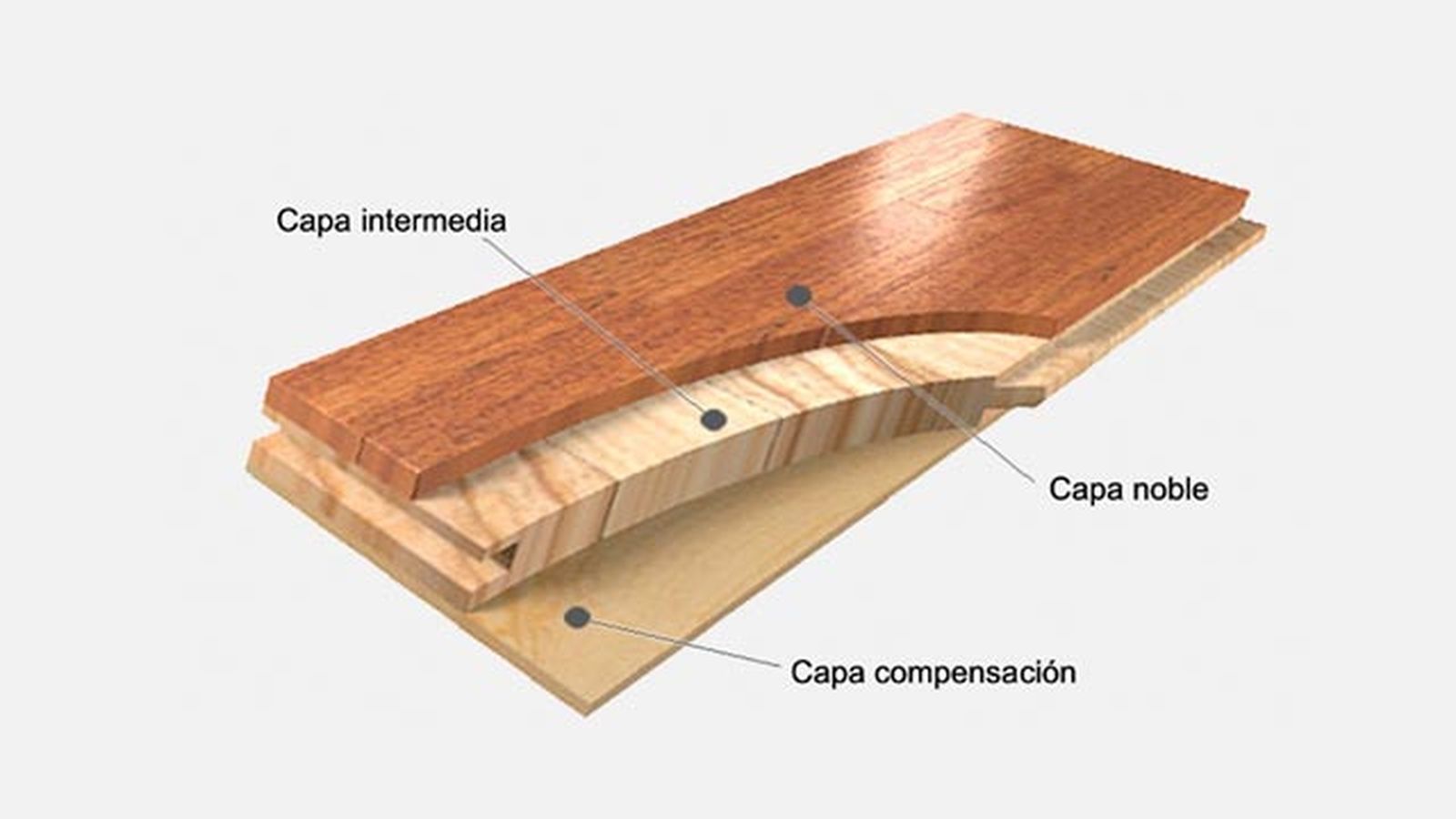 tarima flotante todo lo que debes saber antes de instalarla tarima flotante todo lo que debes saber antes de instalarla