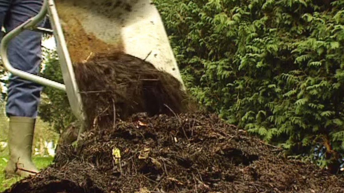 brico 091 jardin parterre flores invierno nutrientes tierra