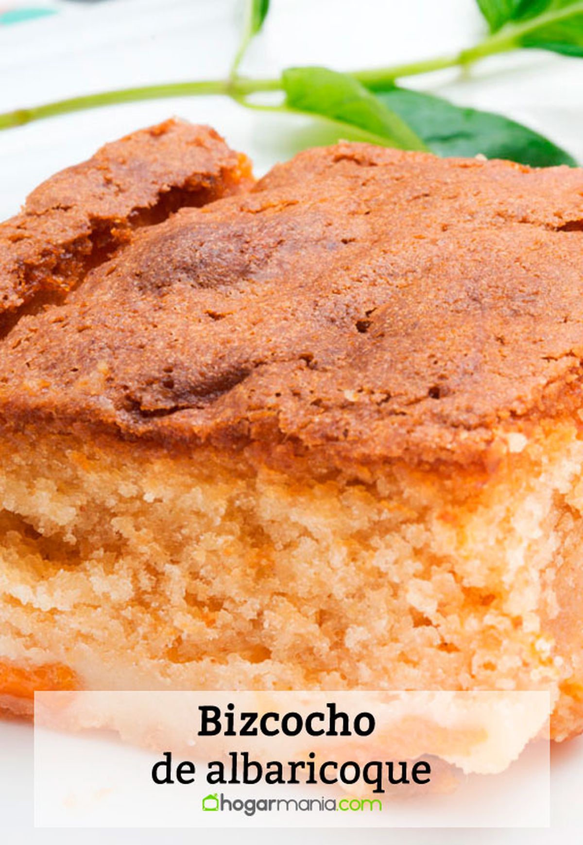 bizcocho de albaricoque pin