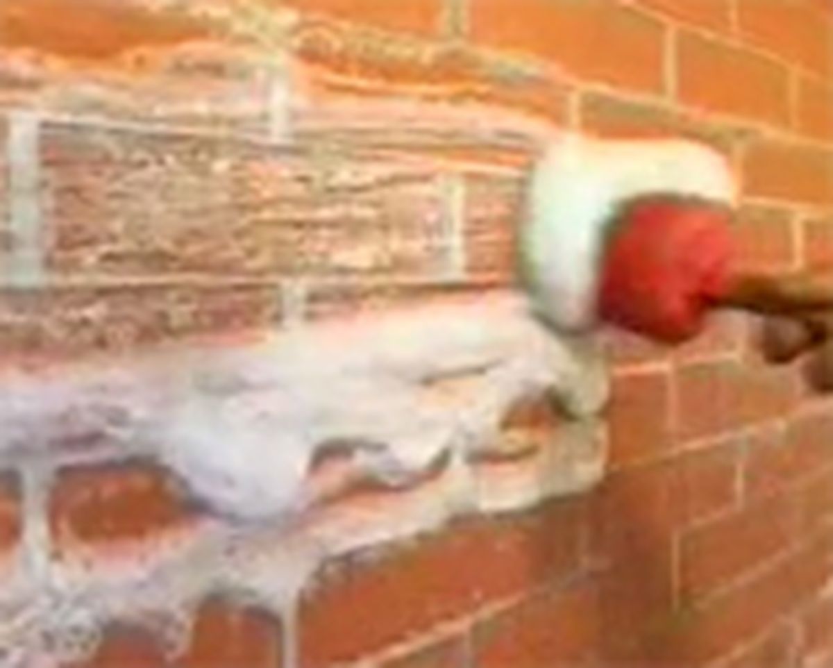 Eliminar el salitre del ladrillo03