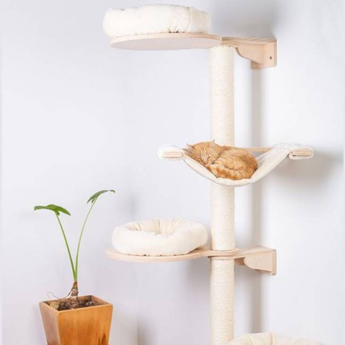 hamaca rascador para gatos tiendanimal