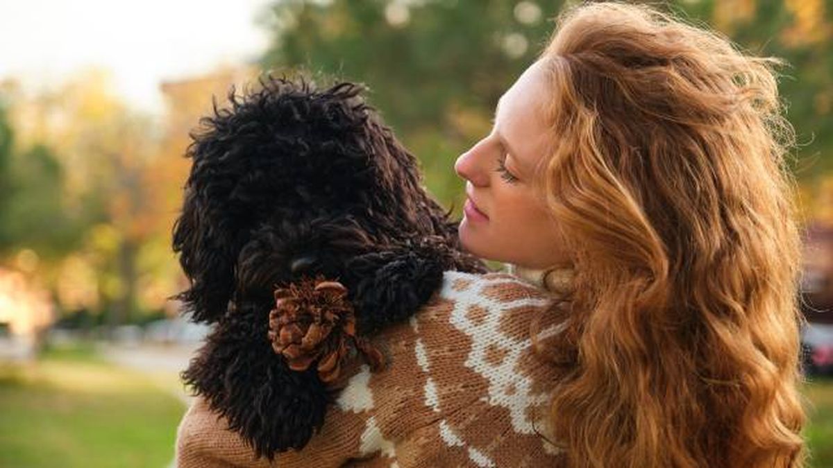 nombres para mascotas perros negros