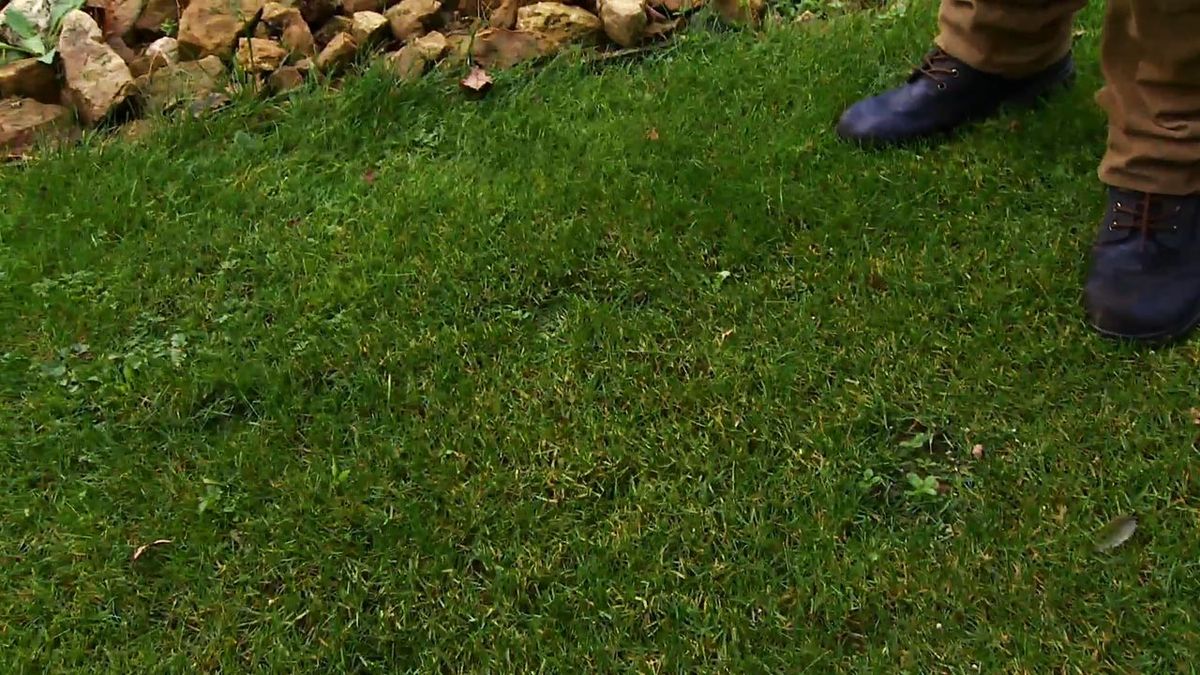 deco 636 abonar el cesped en invierno