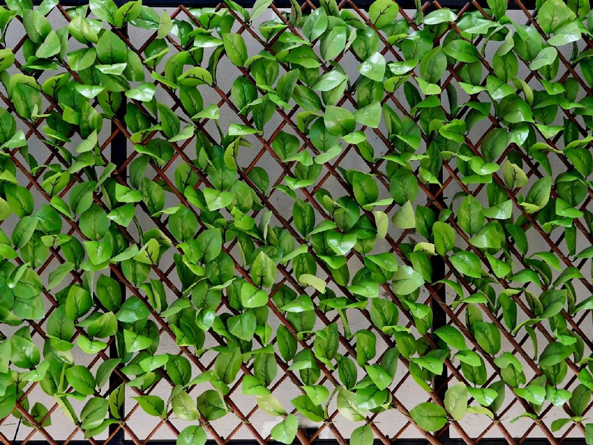 Los jardines verticales son una buena solución para los espacios reducidos