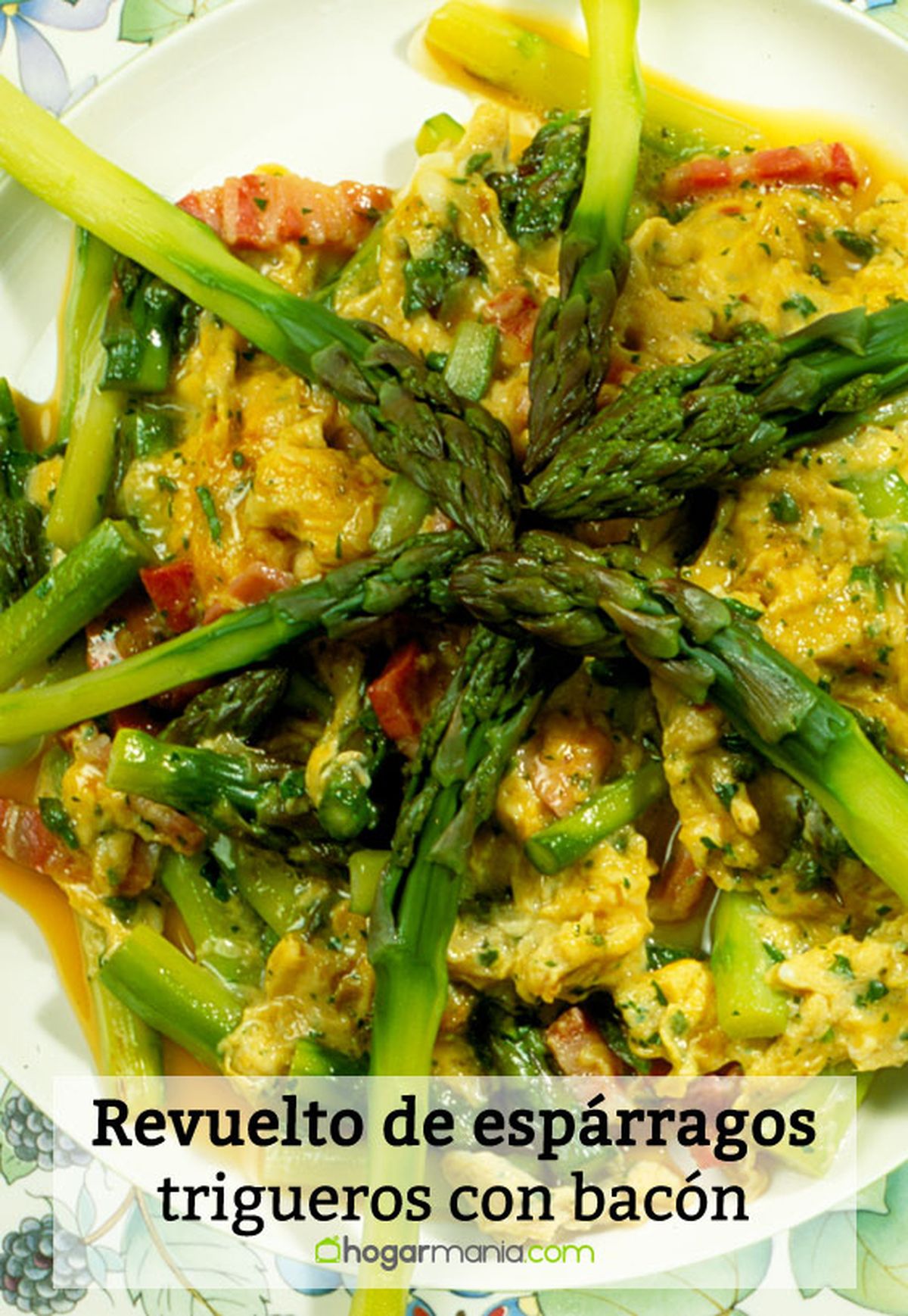 003 1 revuelto esparragos trigueros bacon pin