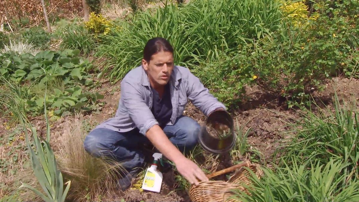 deco 658 herbicidas cesped jardin contenedor base