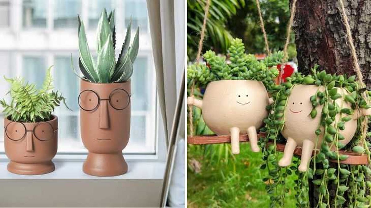 macetas cara TENLOY KUWAI