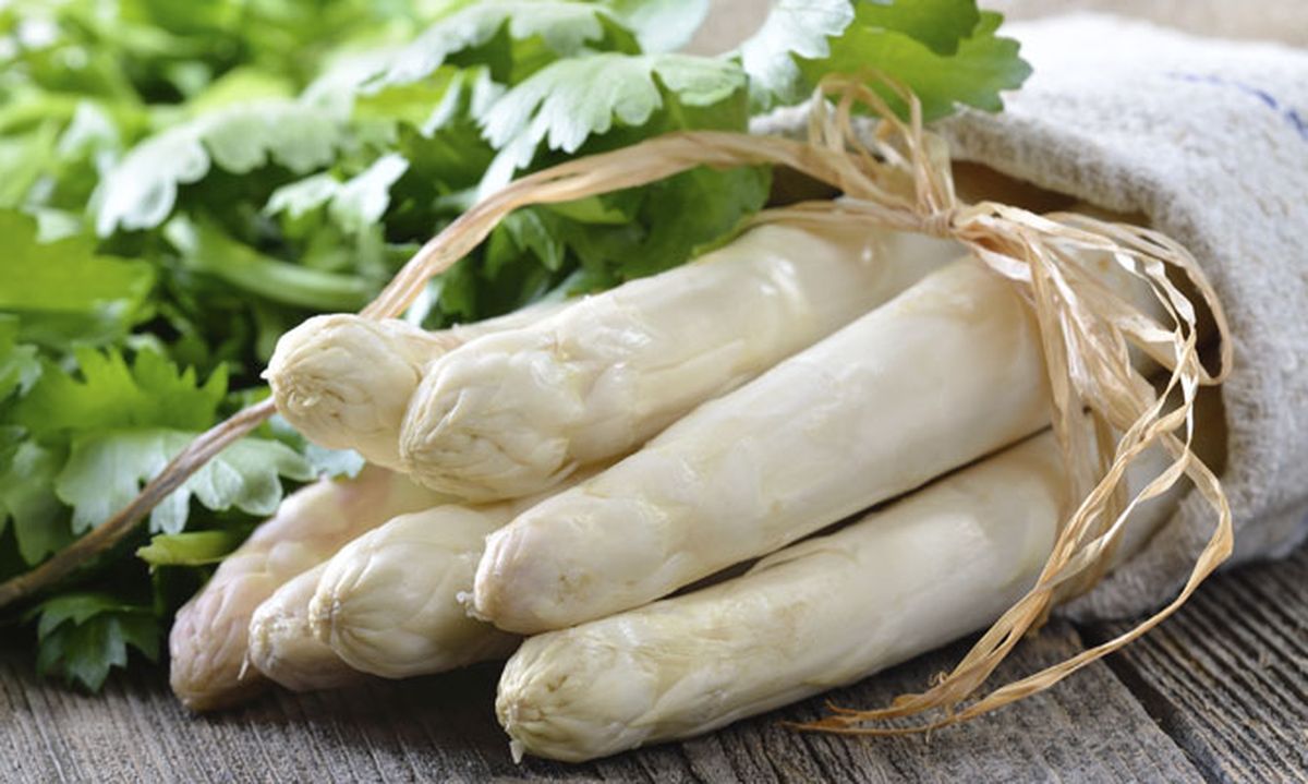 5389 nutricion ainhoa esparragos v