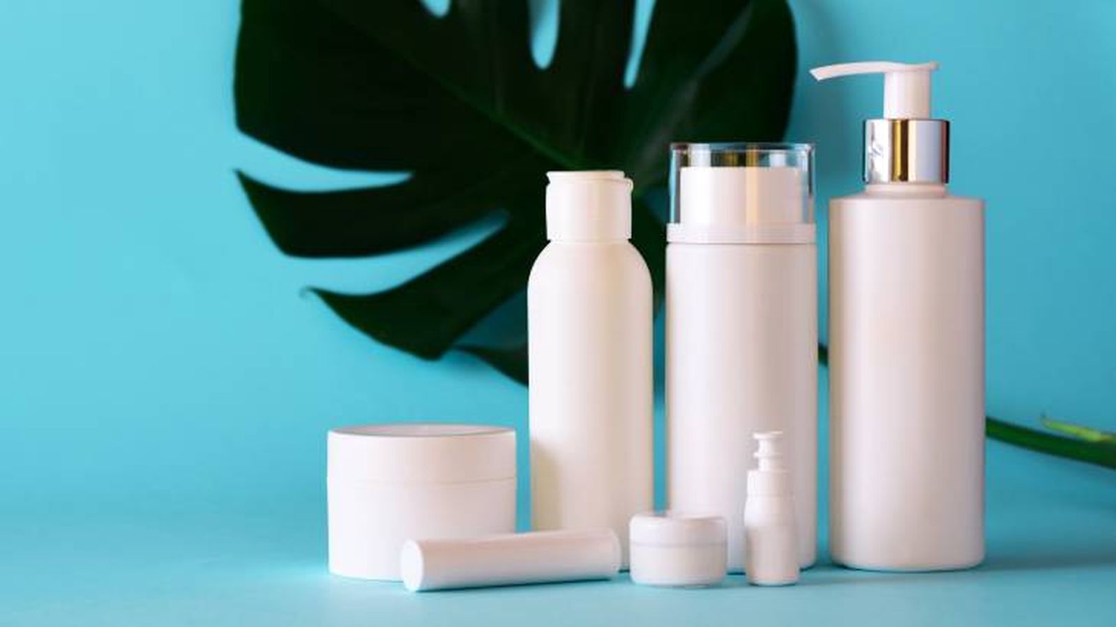 marcas cosmeticas cruelty free productos marcas cosmeticas cruelty free productos