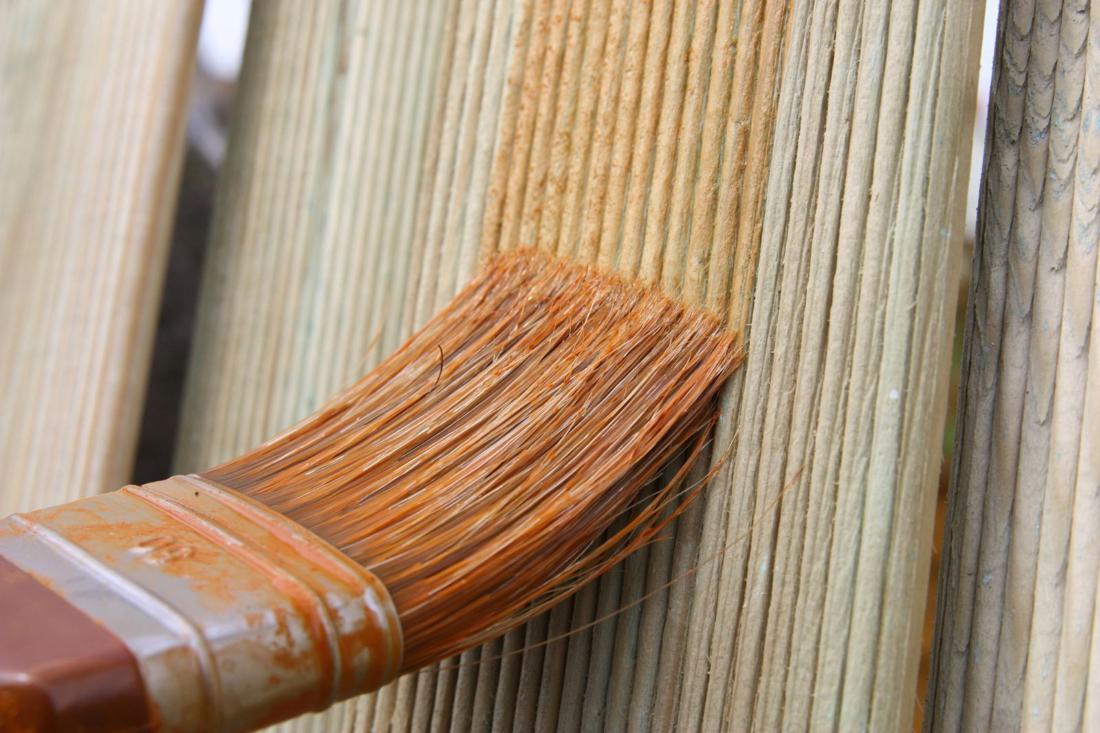 zocalo madera xl