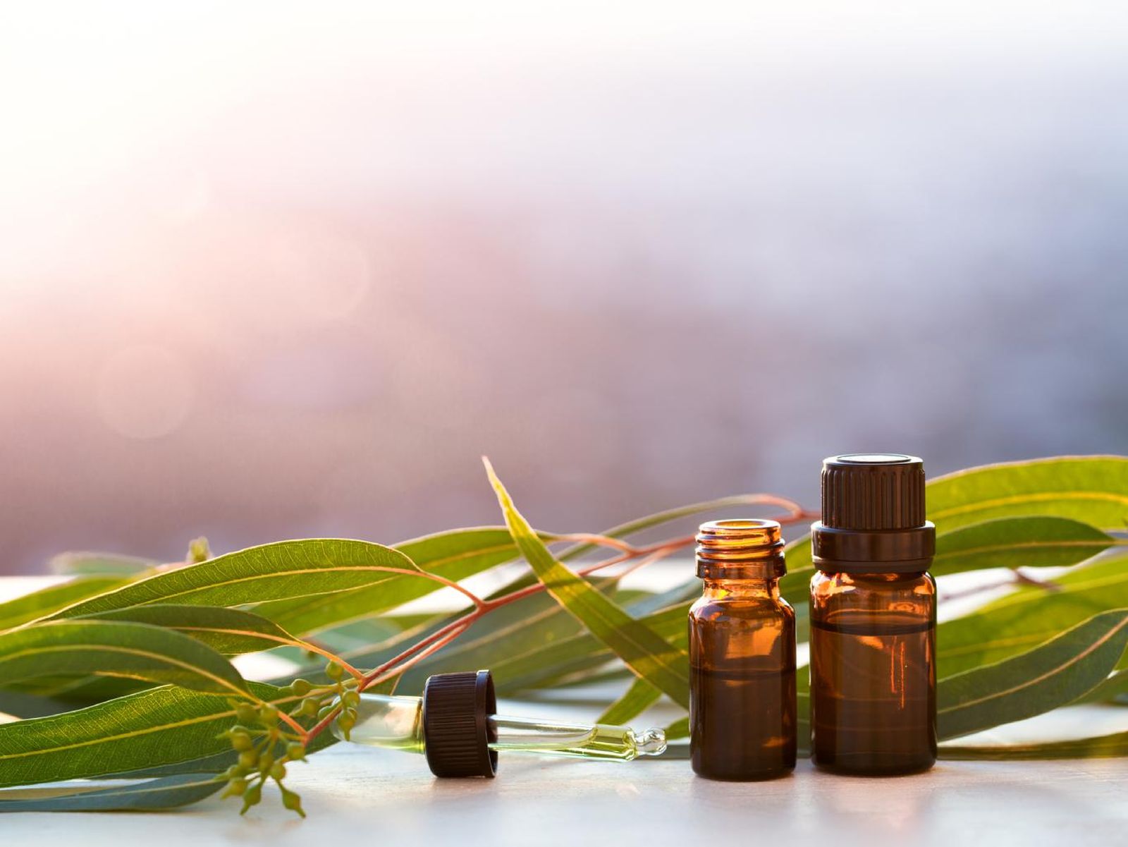 Aceite aromático de eucalipto.