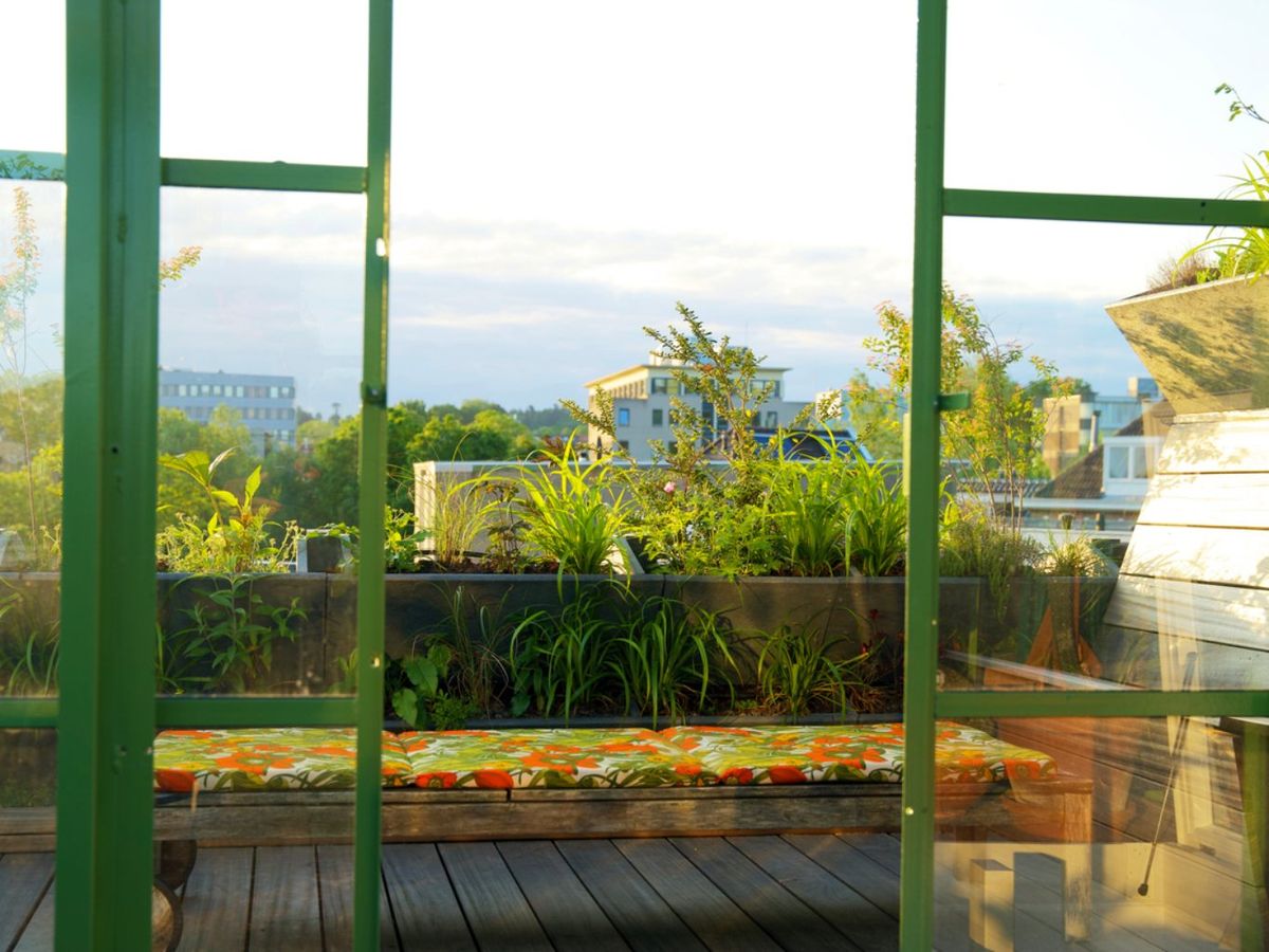 Remate vegetal con plantas en terraza.