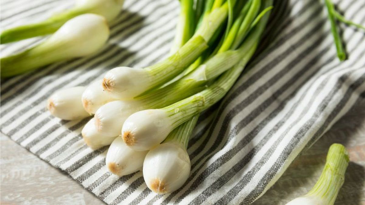 Cebollas tiernas