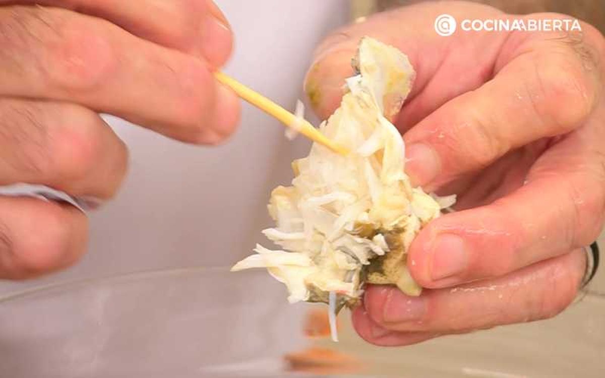 Retira la carne del buey de mar