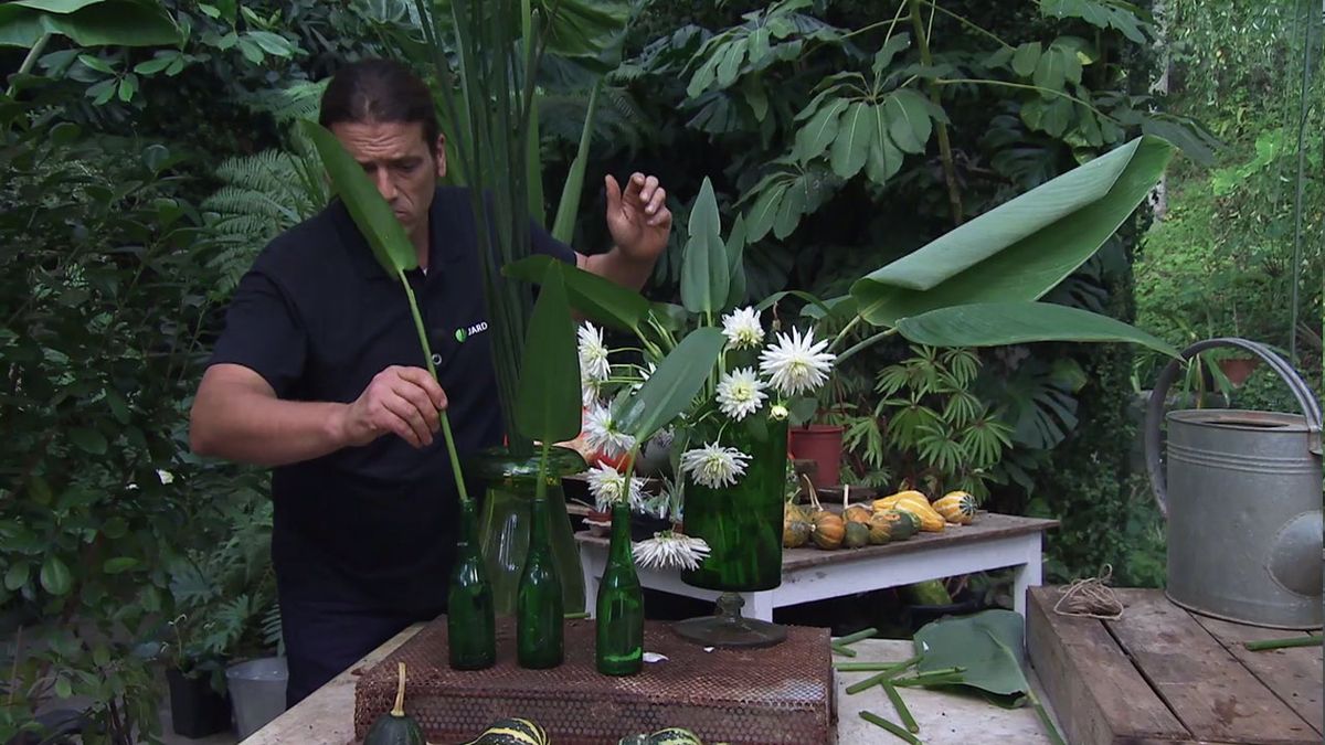 deco 751 jardin composicion floral Pontederia cordata