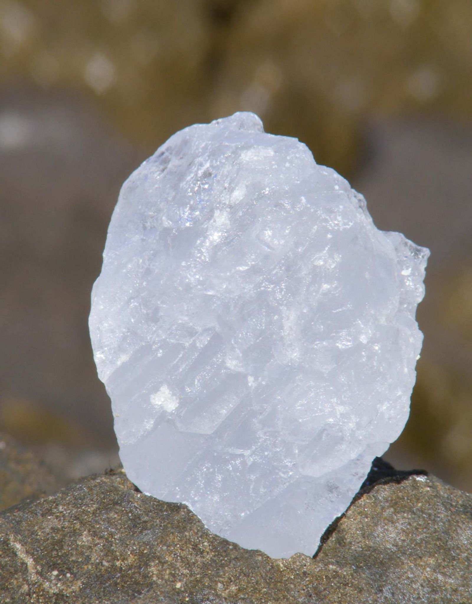 La piedra de alumbre es sólida, pero para este experimento es preferible usarla en polvo.