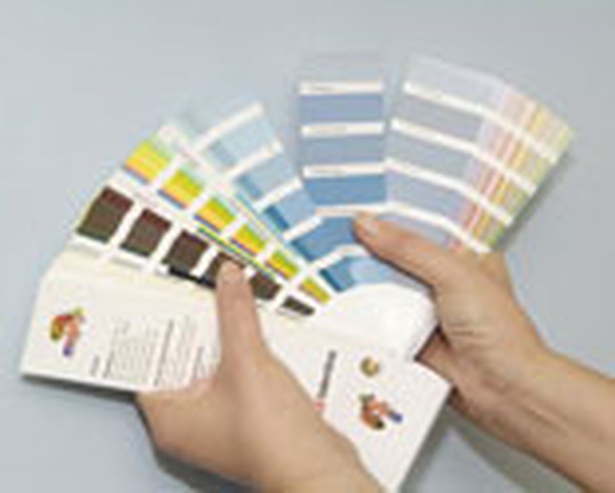 briconsejo 1 0455 Friso decorativo plantilla paso 2