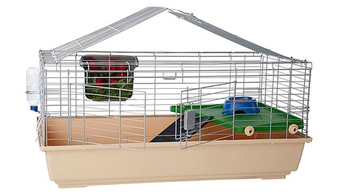 cuidados consejos conejos jaula