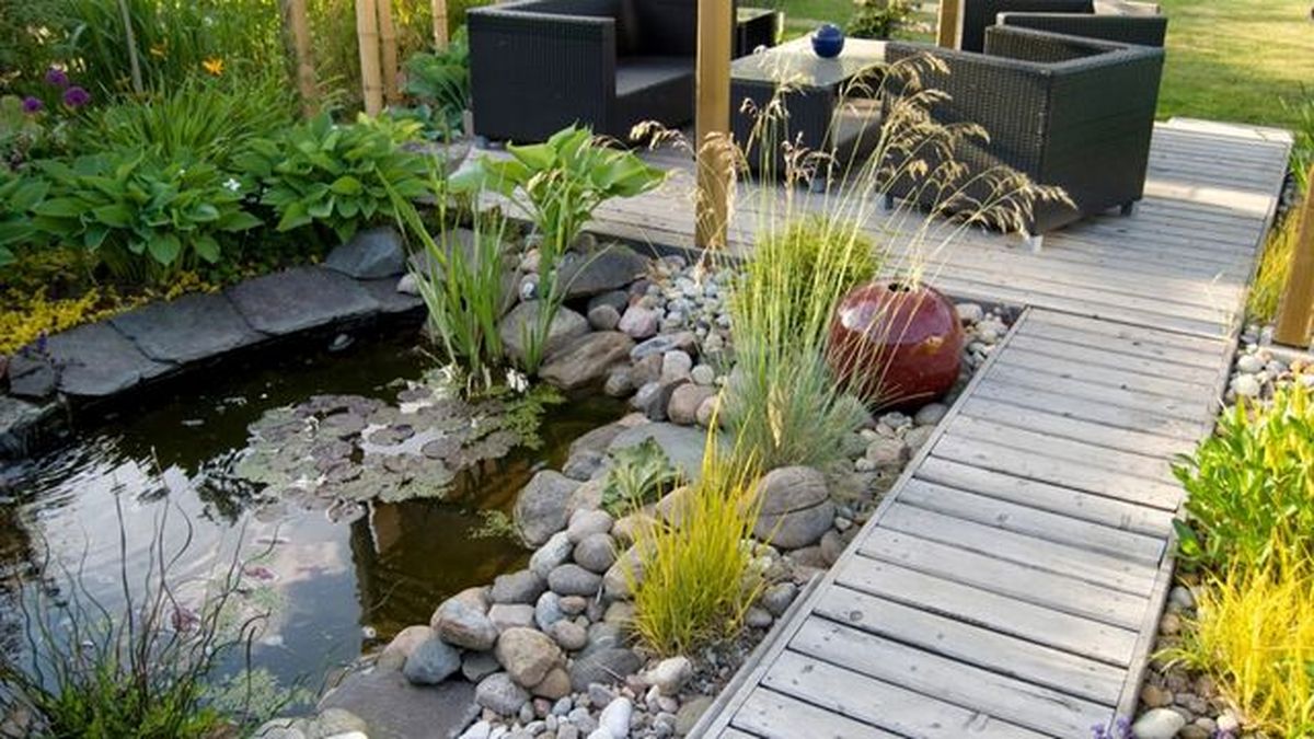 ubicacion cuidados flor de loto