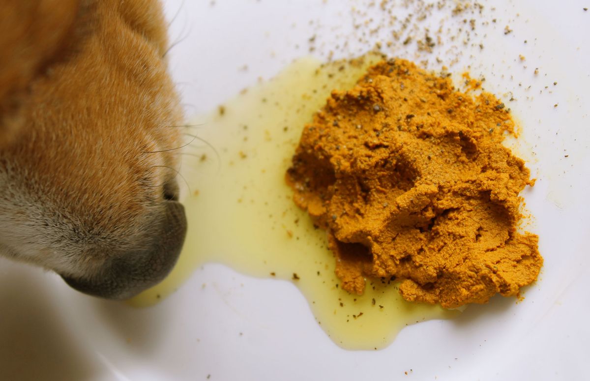 perros salud articular alimentacion curcuma