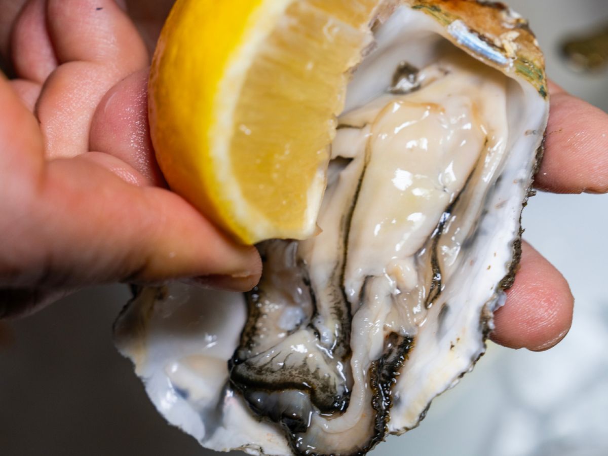 Unas gotas de limón provocan que la carne se contraiga, confirmando la frescura del molusco.
