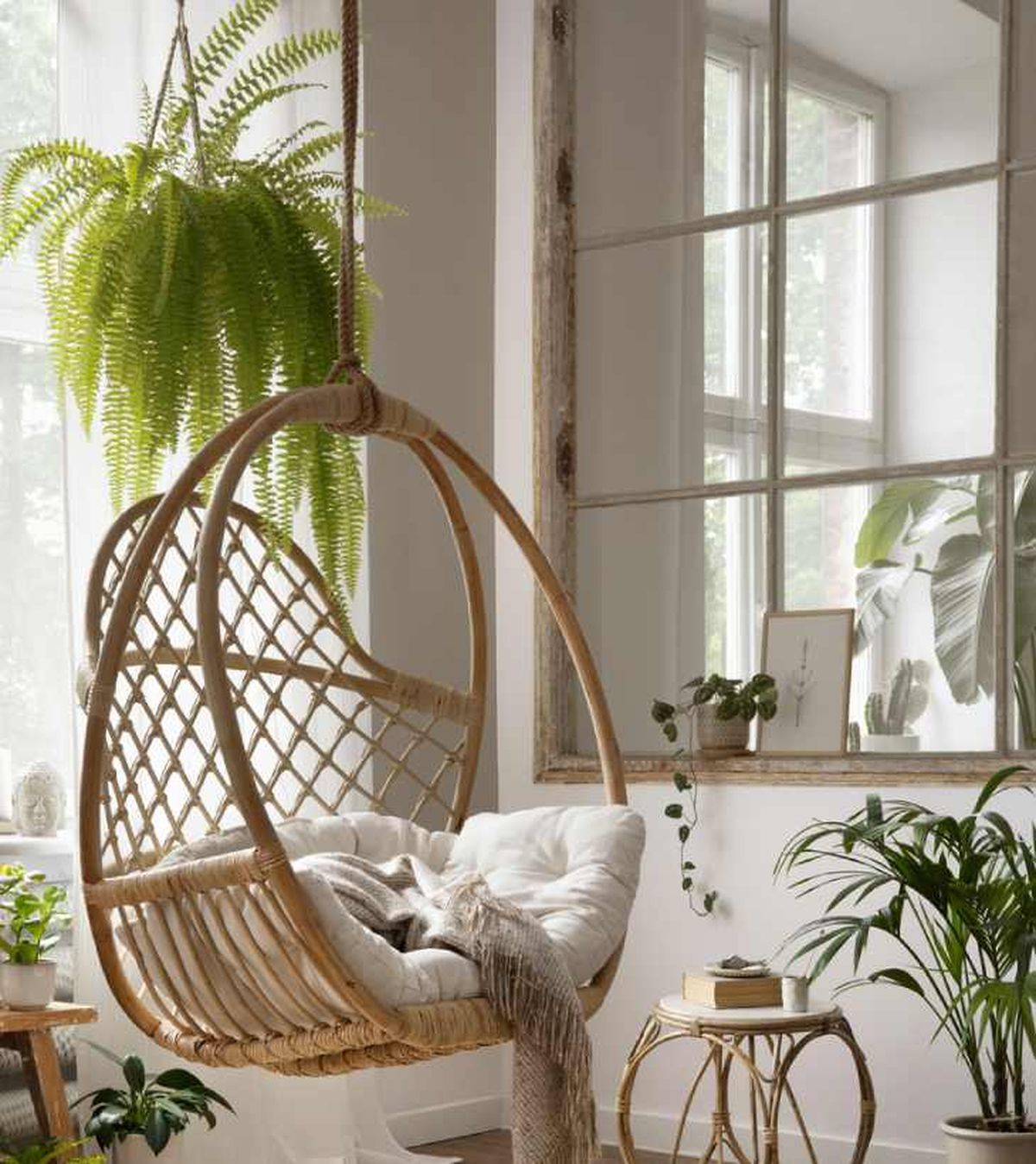 Helecho de Boston colgado del techo