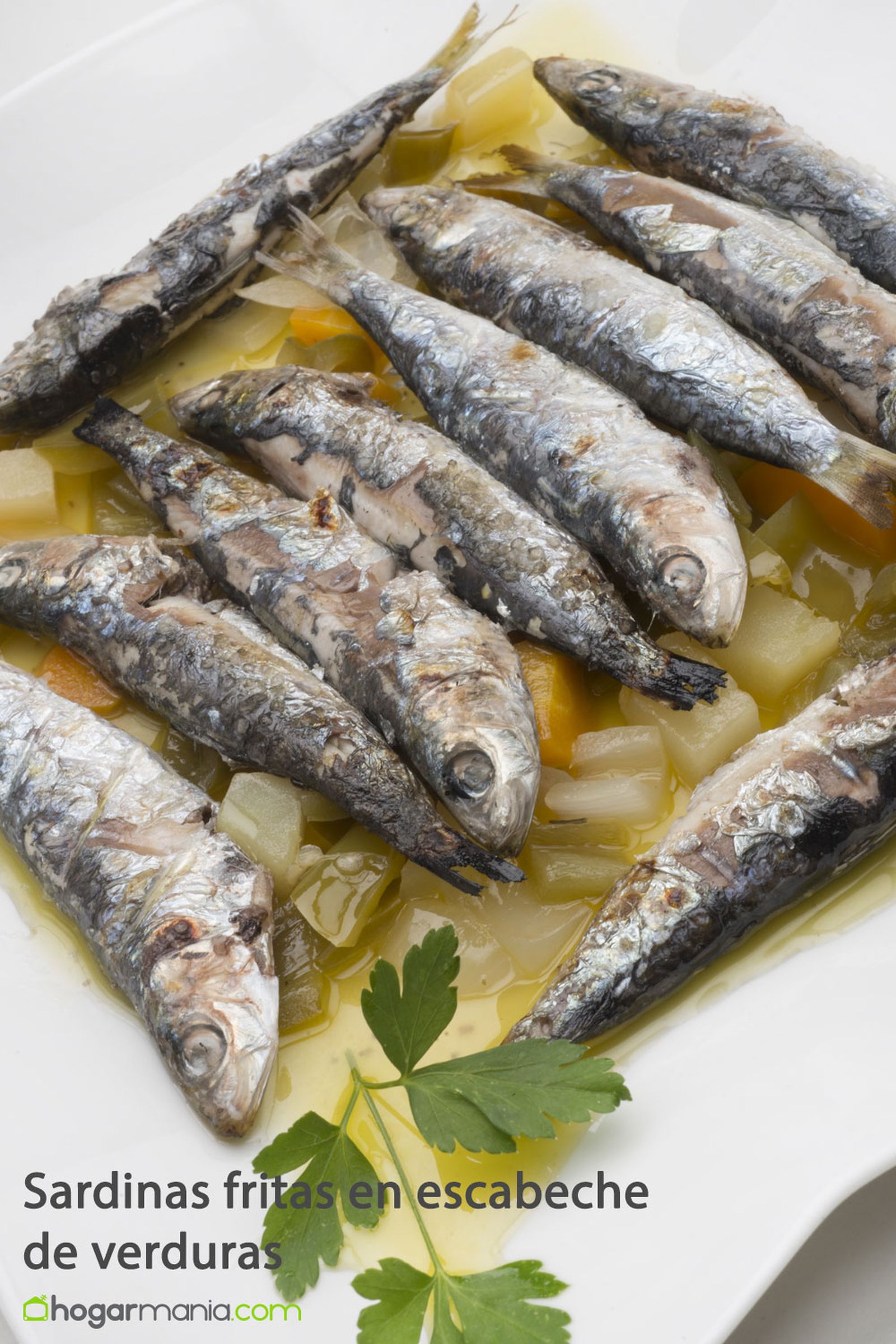 sardinas fritas pinterest sardinas fritas pinterest