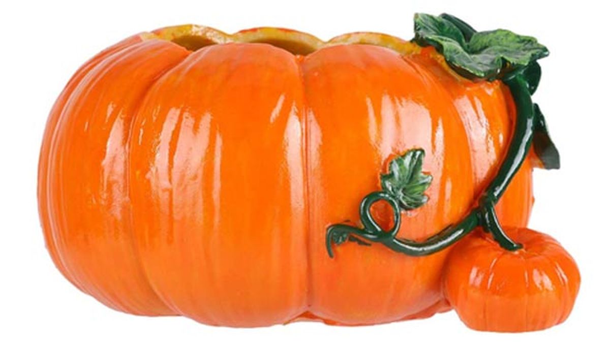 calabaza maceta