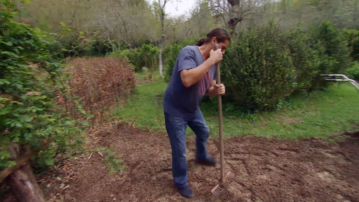 deco 657 jardineria plantar cesped camino paso 4