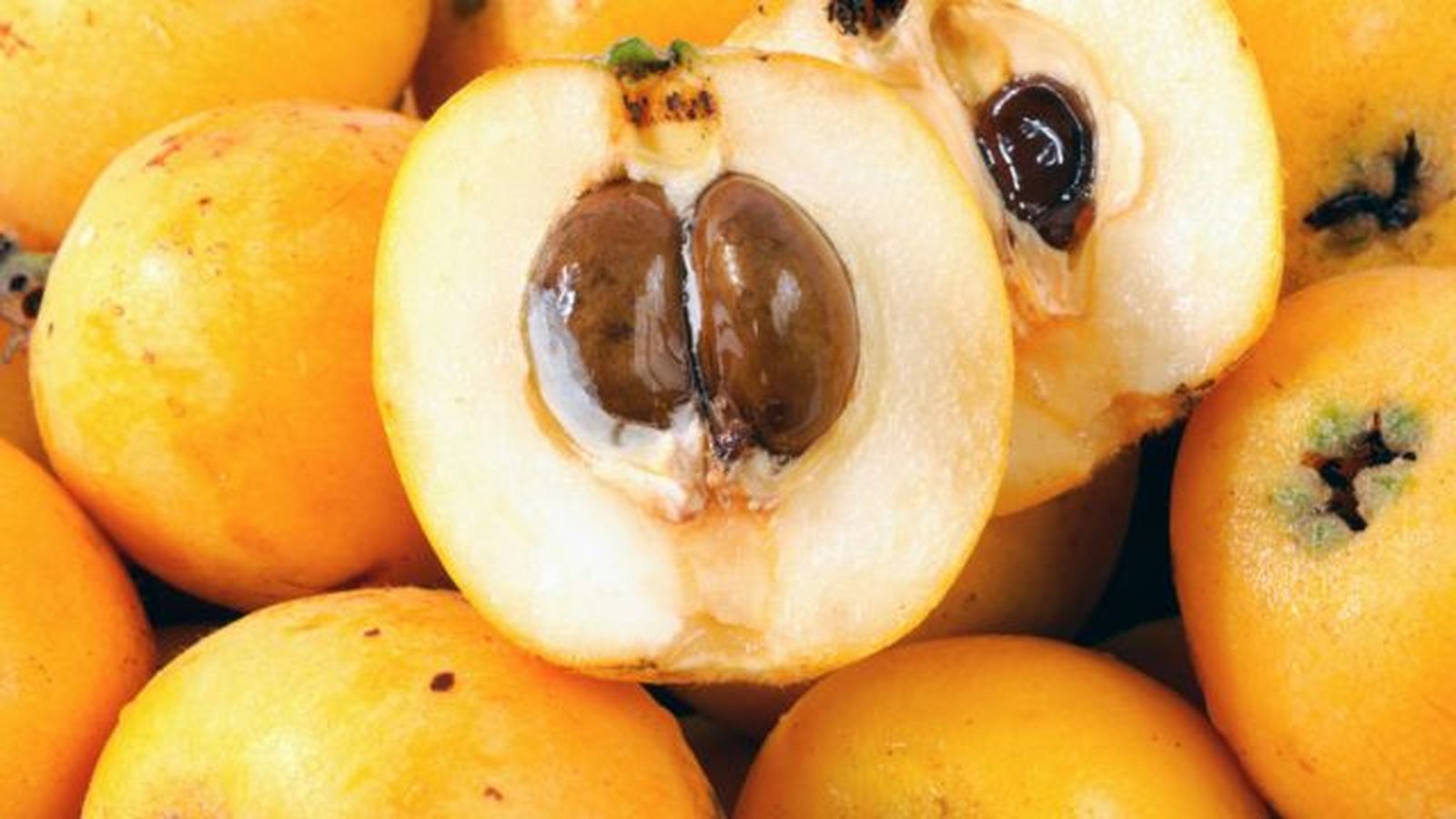 como germinar semillas de nispero como germinar semillas de nispero