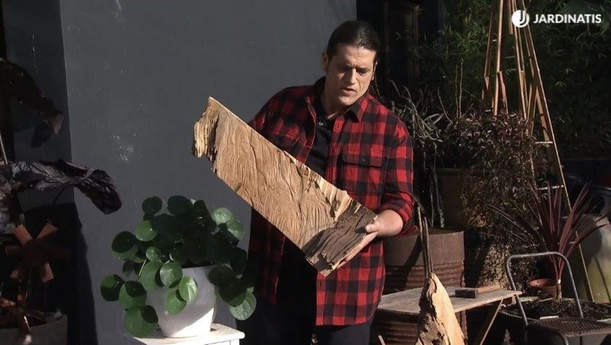 Recopila los trozos de madera