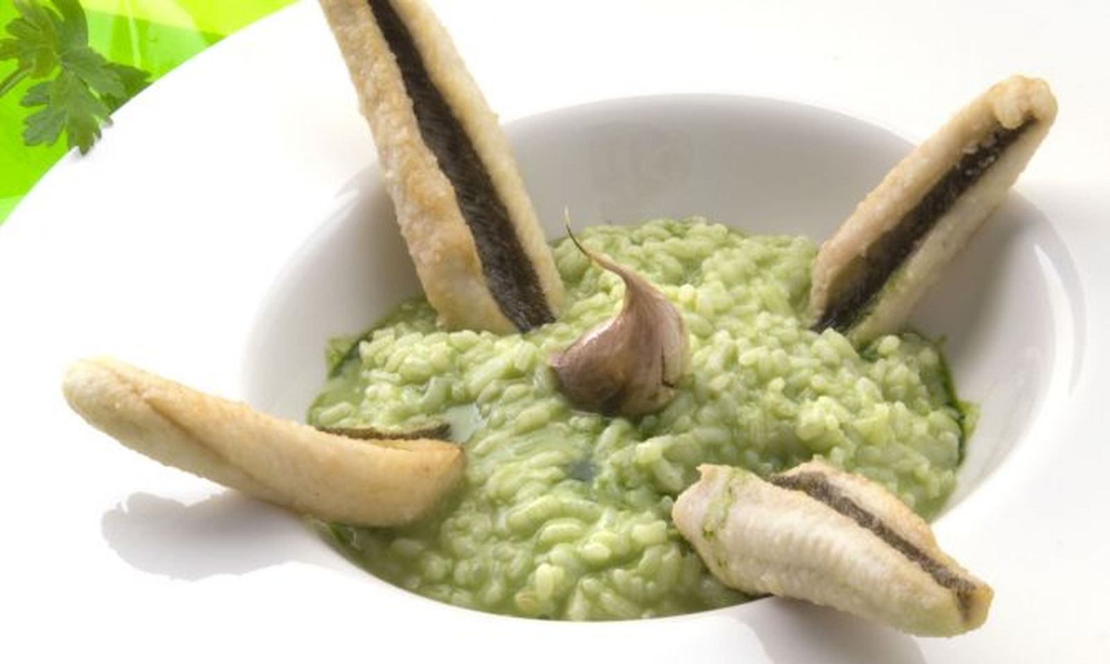 849 filetes de salvera con arroz verde xl 668x400x80xX 849 filetes de salvera con arroz verde xl 668x400x80xX