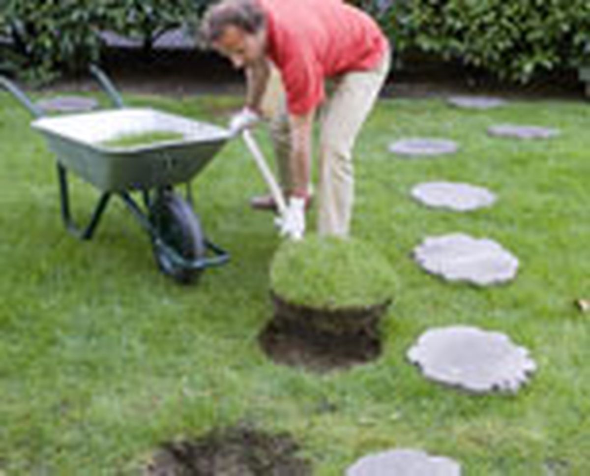 558 paso japones p04