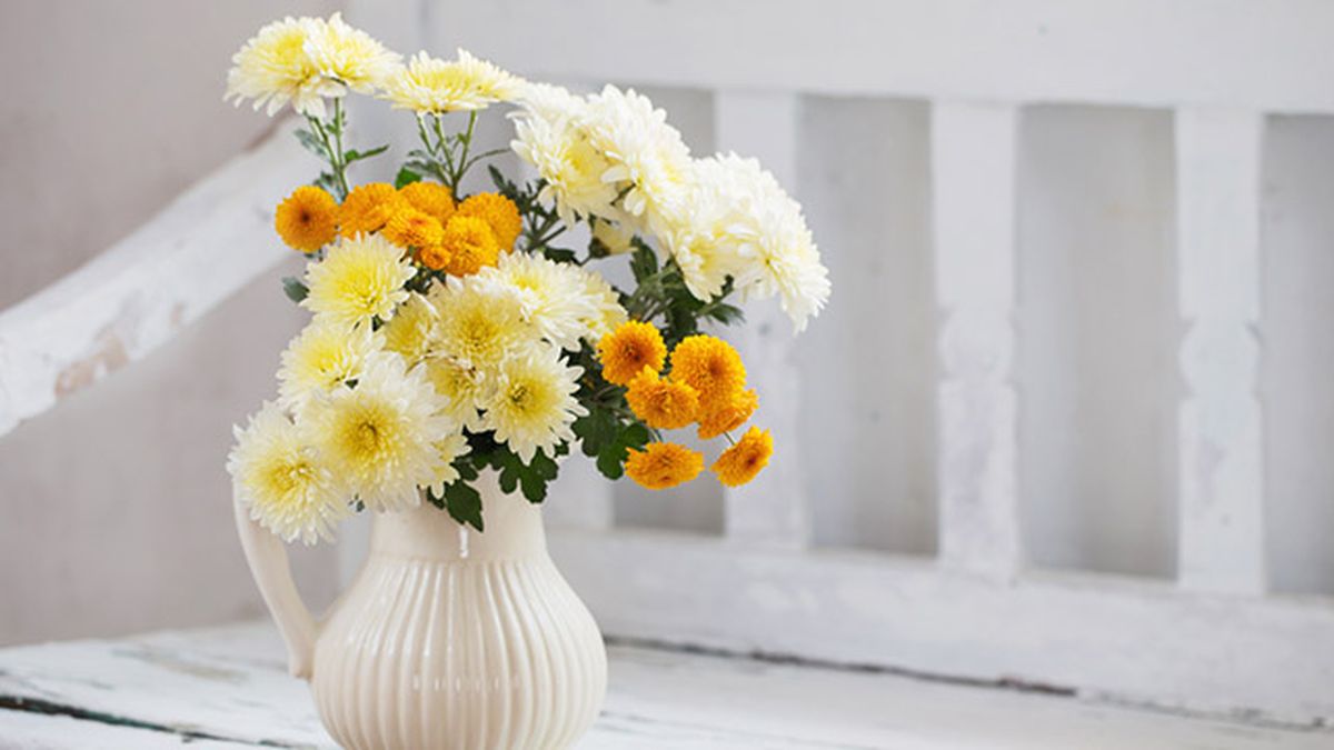 arreglo floral crisantemos en jarron