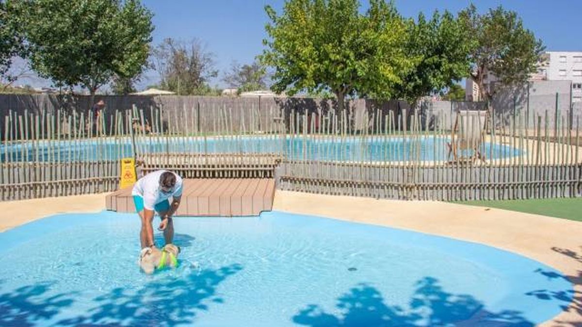 Camping dogfriendly admite mascotas Sanguli Salou Tarragona piscina dogpool
