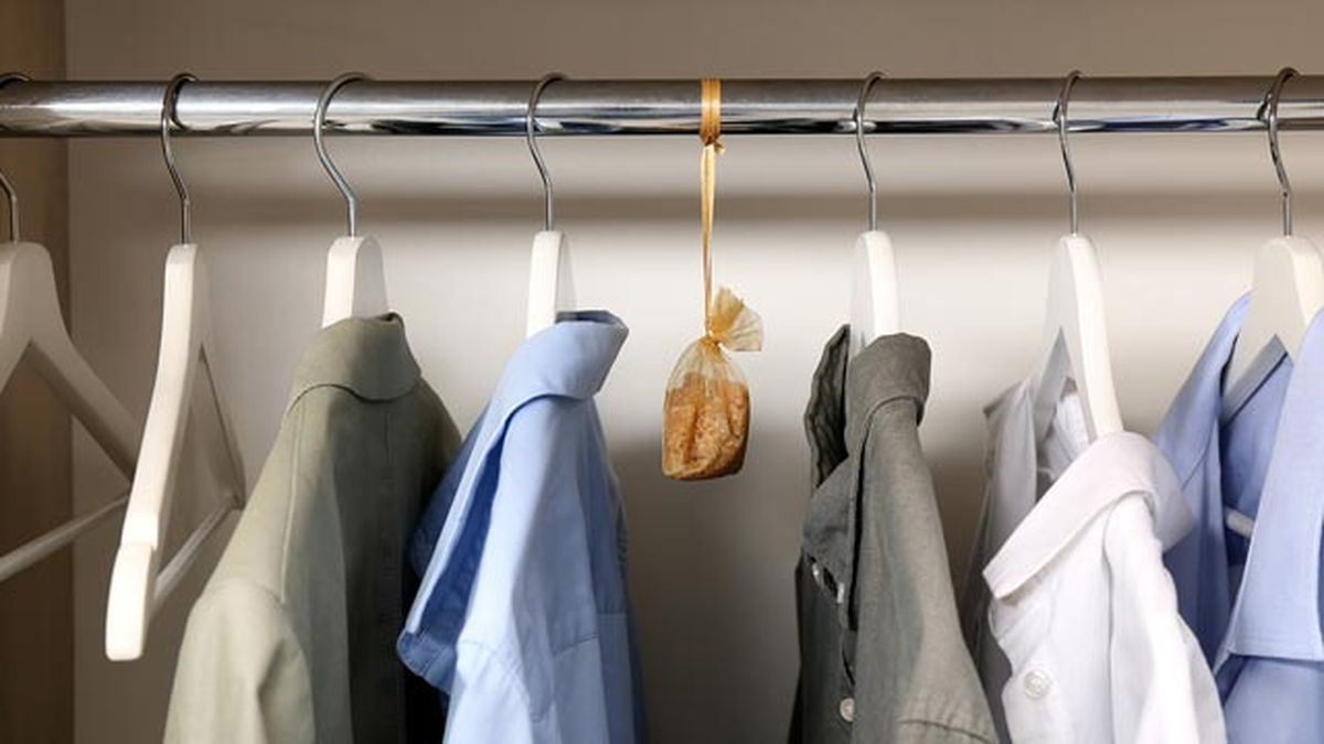 remedios caseros para combatir la humedad en todas sus formas