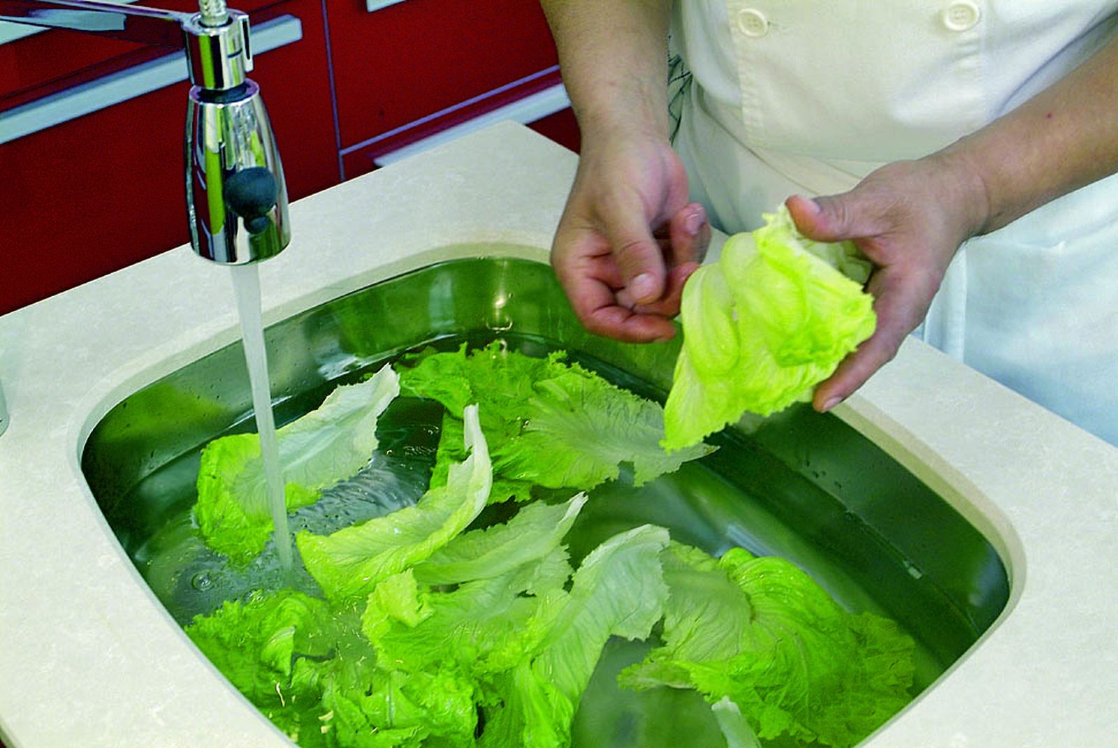 limpiar lechuga paso3 limpiar lechuga paso3