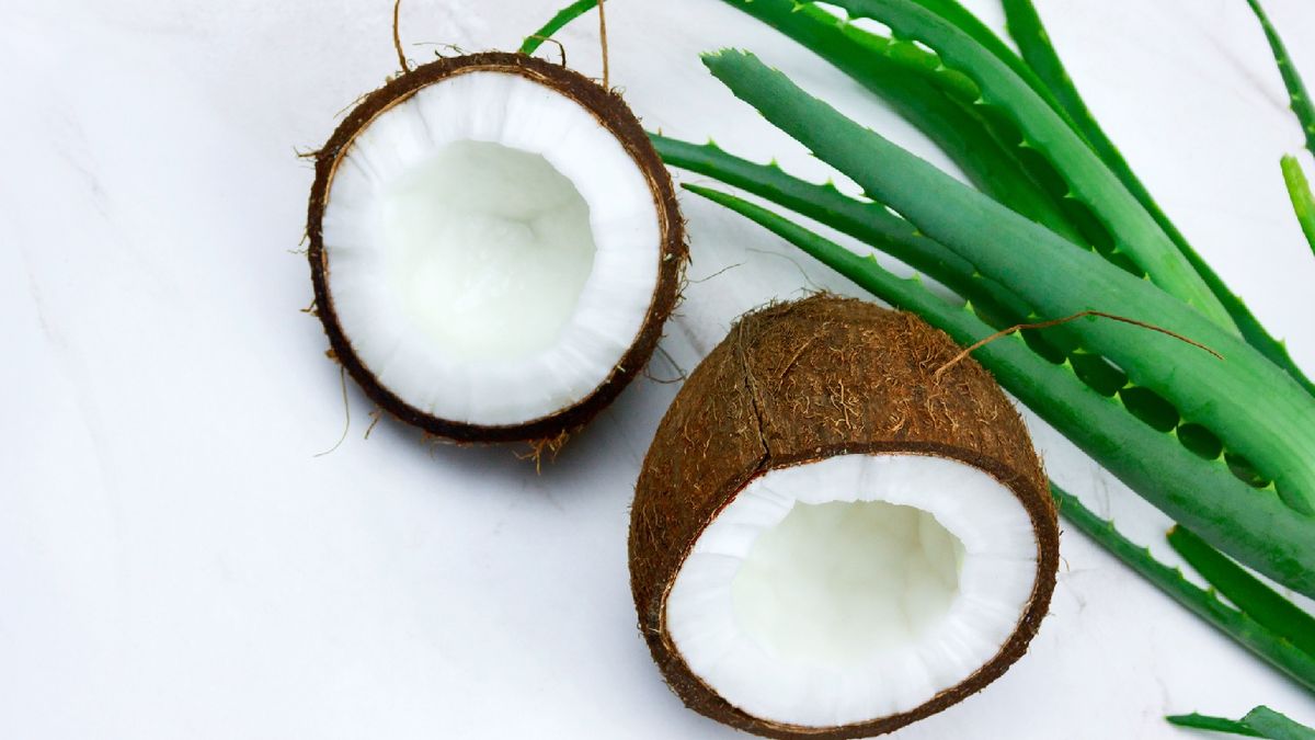 Coco y aloe vera