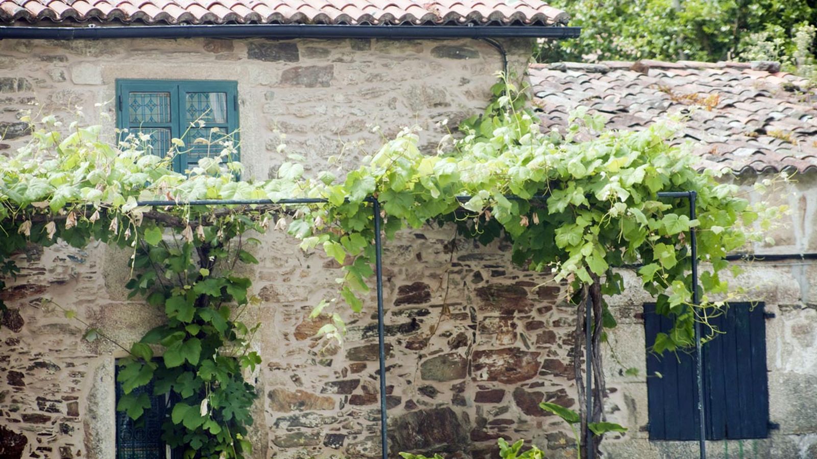 parra fachada de una casa parra fachada de una casa