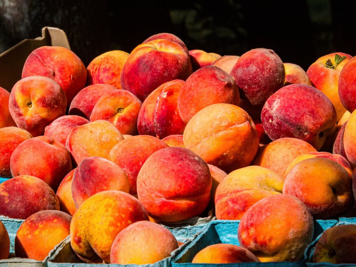 Se consideran frutas de hueso las que tienen una única semilla protegida por un hueso central